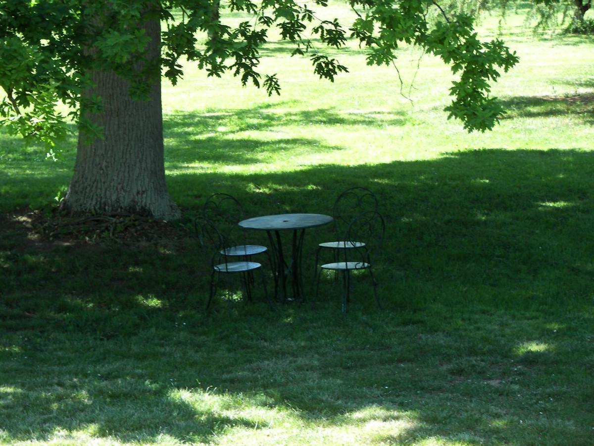 לינה וארוחת בוקר Saint-Jean-de-Thurac Domaine Du Noble מראה חיצוני תמונה
